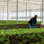 The Future of Sustainable Agriculture: How FarmPeat is Changing the Game